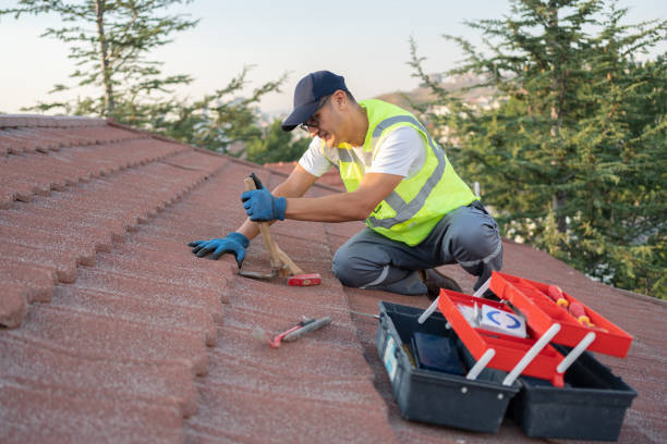 Best Roof Maintenance Services  in Sedalia, MO
